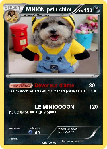 Pokemon MINION petit chiot