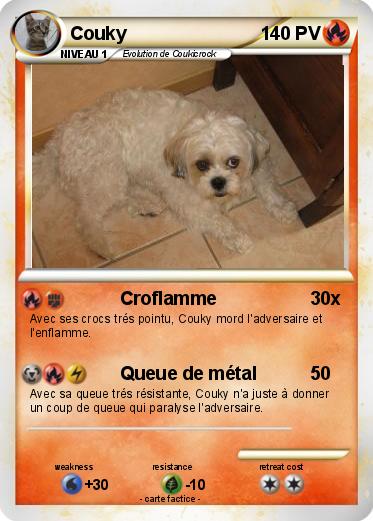 Pokemon Couky