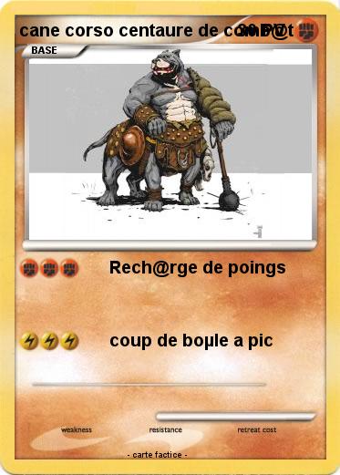 Pokemon cane corso centaure de comb@t