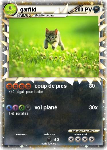Pokemon garfild