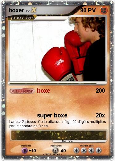 Pokemon boxer