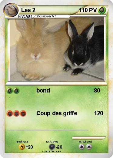 Pokemon Les 2