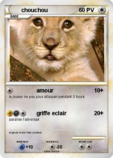 Pokemon chouchou
