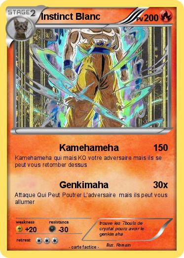 Pokemon Instinct Blanc
