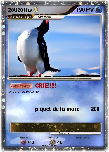 Pokemon zouzou