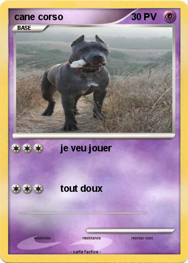 Pokemon cane corso