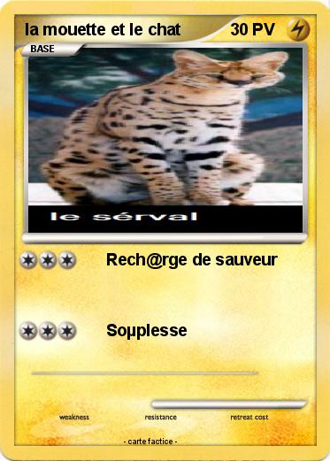 Pokemon la mouette et le chat