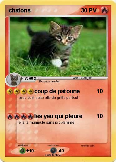 Pokemon chatons