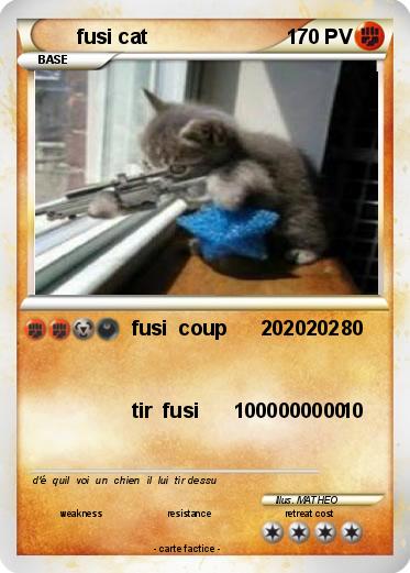 Pokemon fusi cat