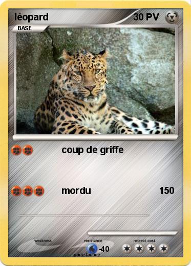 Pokemon léopard