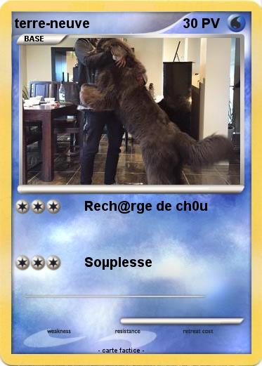 Pokemon terre-neuve