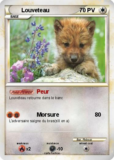 Pokemon Louveteau
