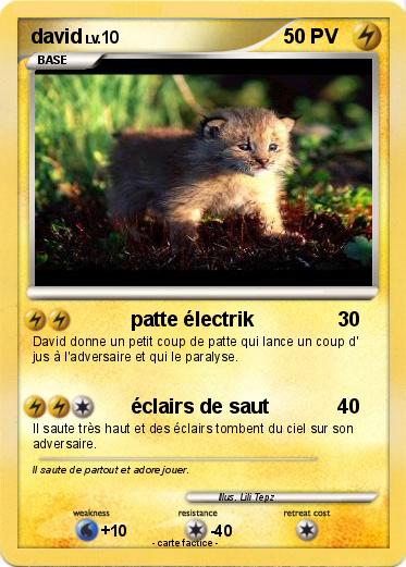Pokemon david