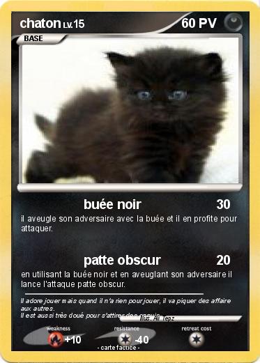 Pokemon chaton
