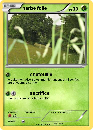 Pokemon herbe folle
