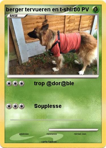 Pokemon berger tervueren en t-shirt