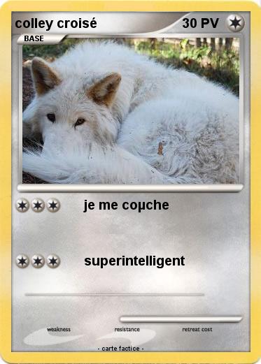Pokemon colley croisé