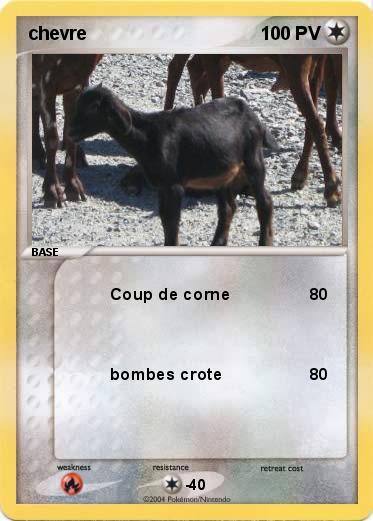 Pokemon chevre