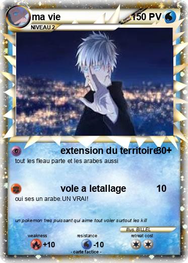 Pokemon ma vie