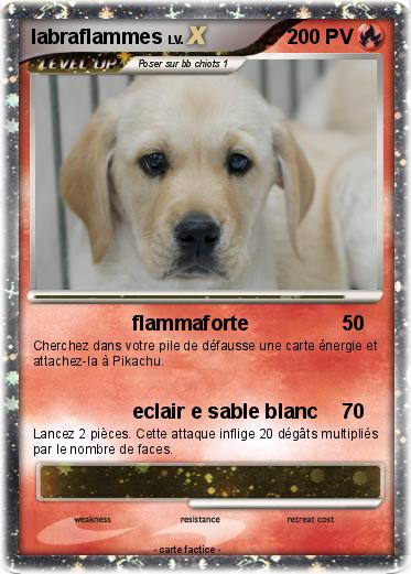 Pokemon labraflammes