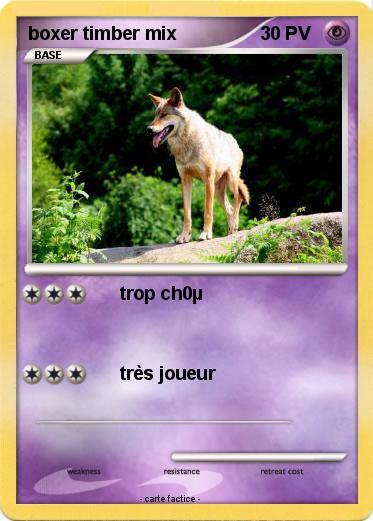 Pokemon boxer timber mix