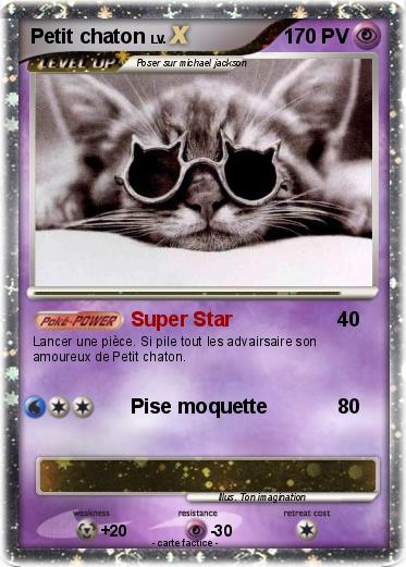 Pokemon Petit chaton