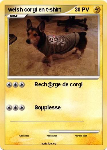 Pokemon welsh corgi en t-shirt