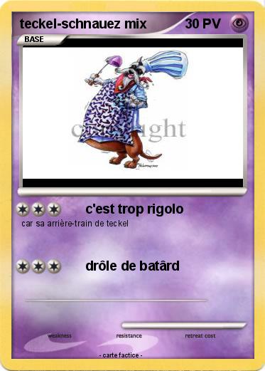 Pokemon teckel-schnauez mix