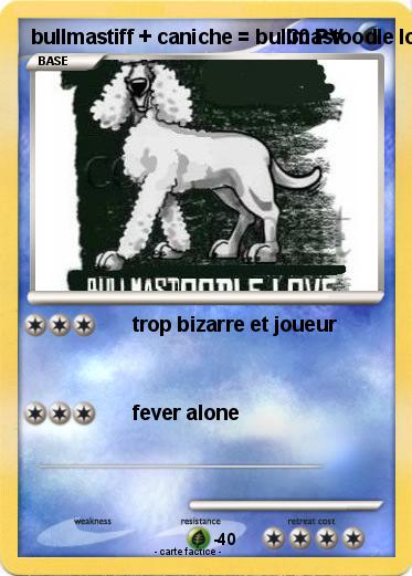 Pokemon bullmastiff + caniche = bullmastoodle love