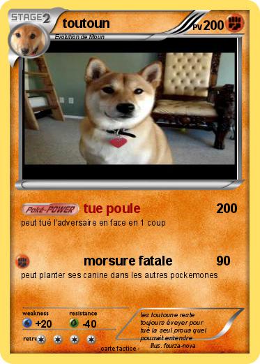 Pokemon toutoun
