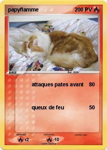 Pokemon papyflamme