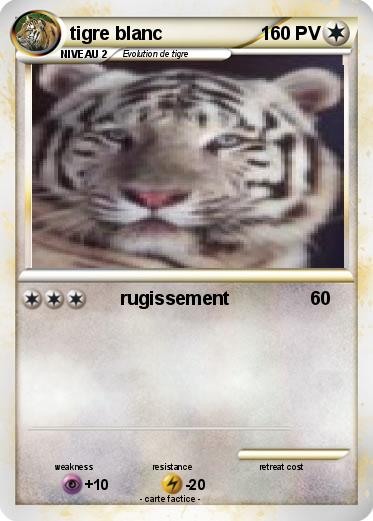 Pokemon tigre blanc