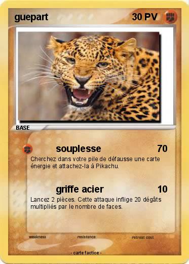 Pokemon guepart
