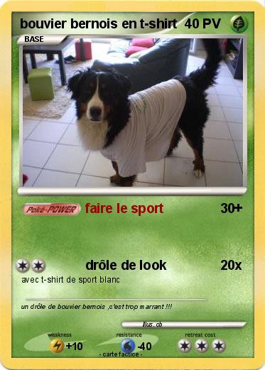 Pokemon bouvier bernois en t-shirt