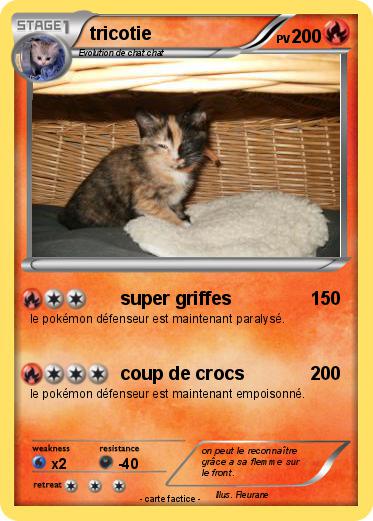 Pokemon tricotie