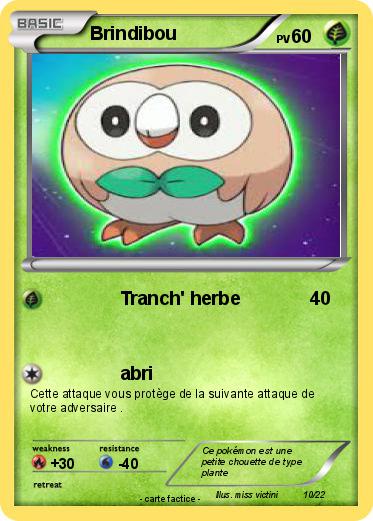 Pokemon Brindibou