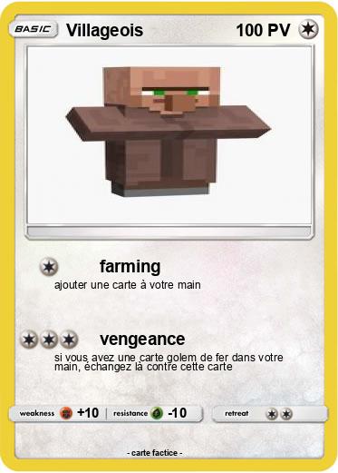 Pokemon Villageois