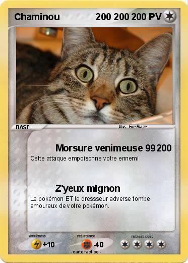 Pokemon Chaminou              200 200