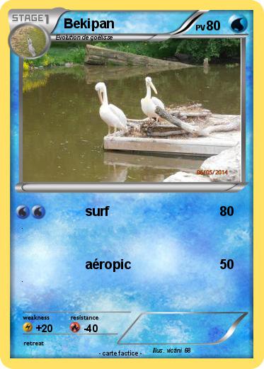 Pokemon Bekipan