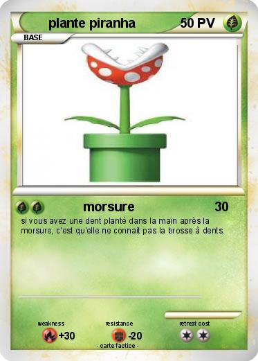 Pokemon plante piranha
