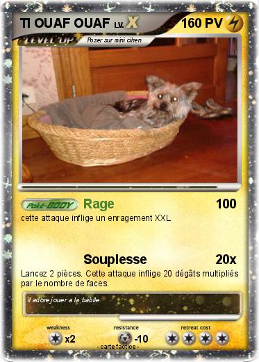 Pokemon TI OUAF OUAF