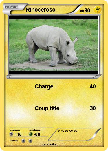 Pokemon Rinoceroso