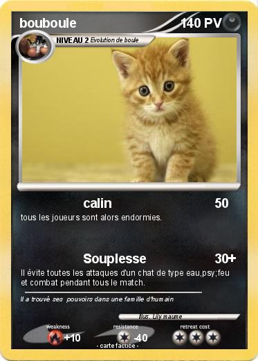 Pokemon bouboule