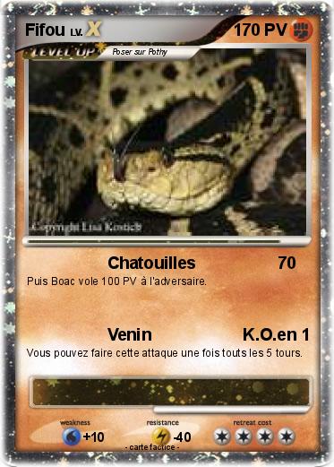 Pokemon Fifou