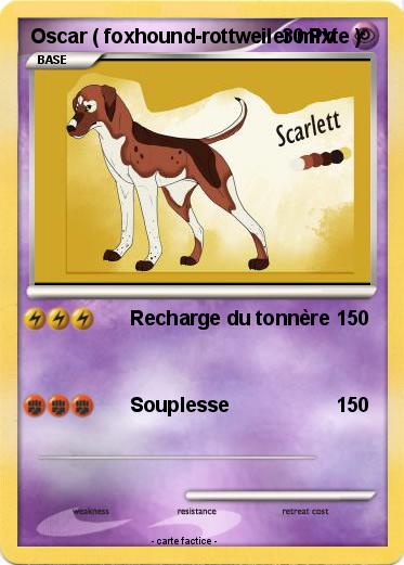 Pokemon Oscar ( foxhound-rottweiler mixte )