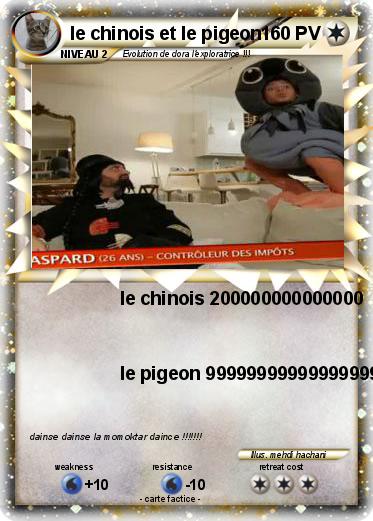 Pokemon le chinois et le pigeon