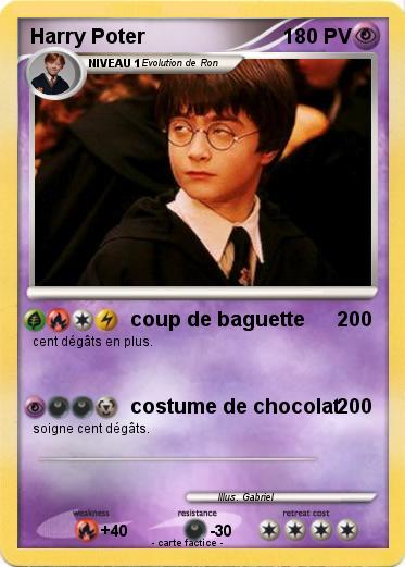 Pokemon Harry Poter