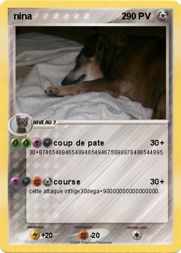 Pokemon nina                                    2