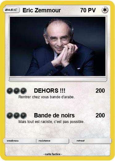 Pokemon Eric Zemmour