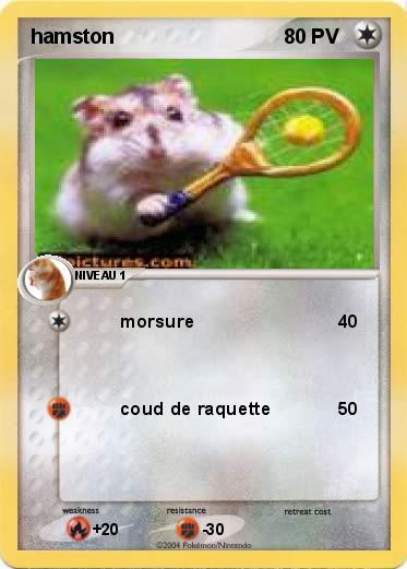 Pokemon hamston
